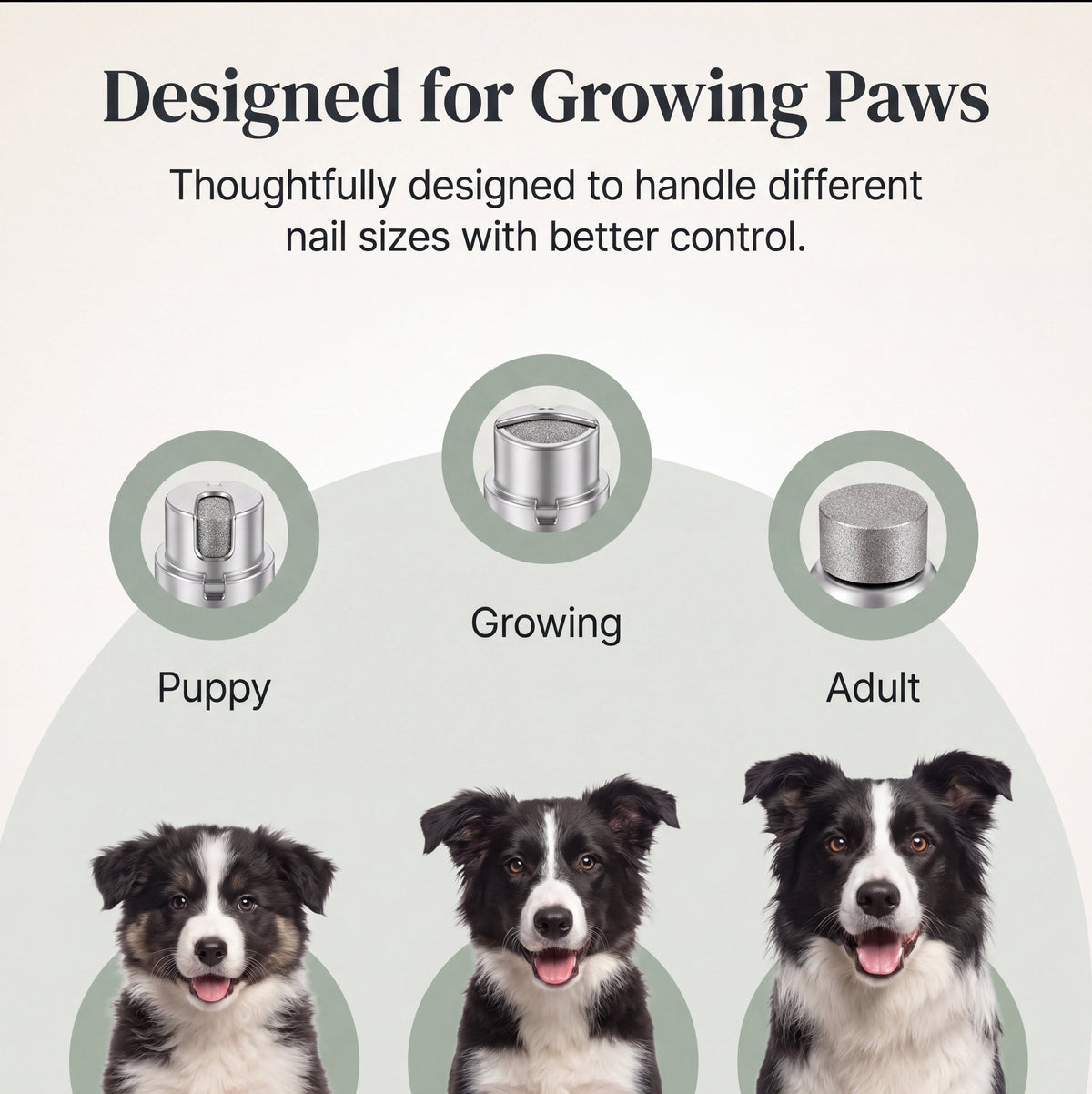 Pawlific Lab QuickScan Pro™ See The Quick. Before You Cut.