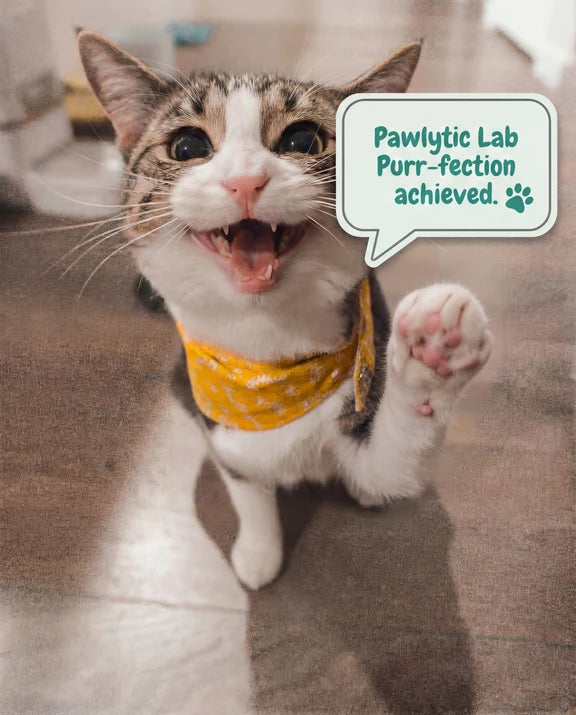 Pawlytic Lab FAQ